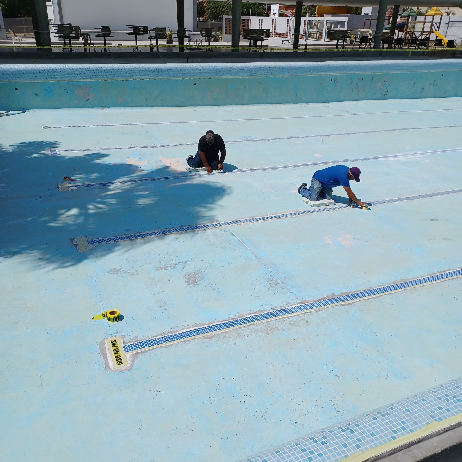 Proyecto – Trabajo en progreso